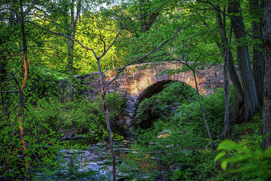 Bridge to Spring Photograph by Jeffrey Friedkin