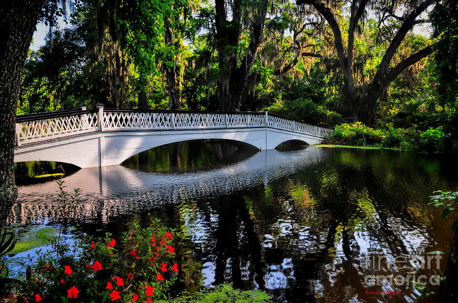 Bridge to Spring Photograph by Randy Rogers