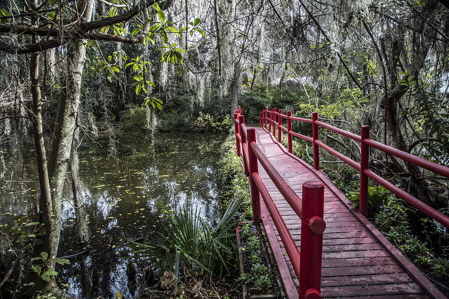 Bridge to swamp  Photograph by John McGraw