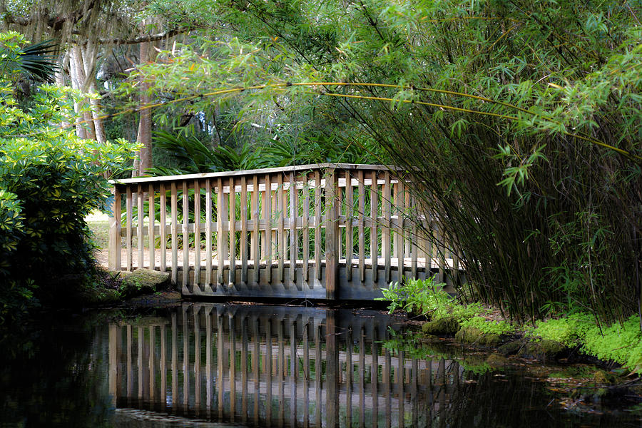 Bridge With Arch Photograph by Robert Stewart - Fine Art America