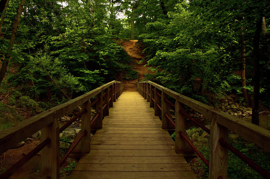 Bridged Path Photograph by Phil Koch
