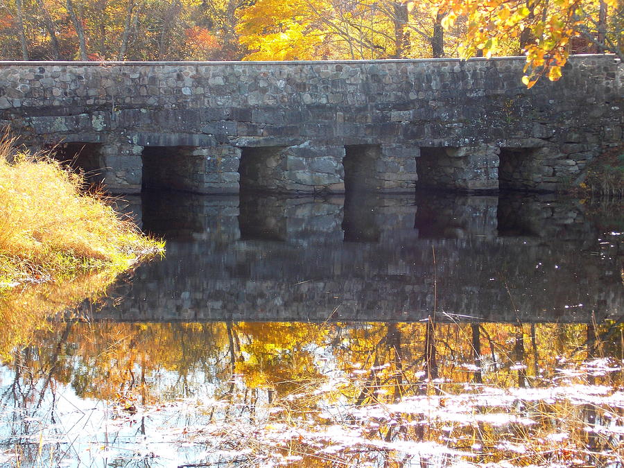 Bridges Reflection Photograph by Catherine Gagne