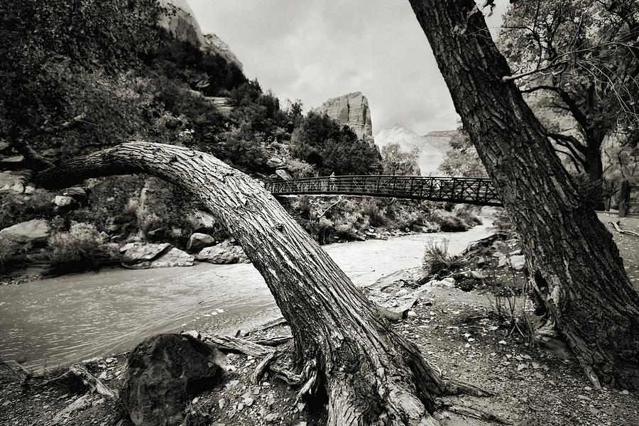 Bridgin Da Gap Photograph by Robert McCubbin