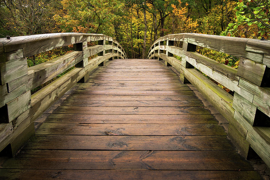 Fall Photograph - Bridging Seasons by Josh Eral