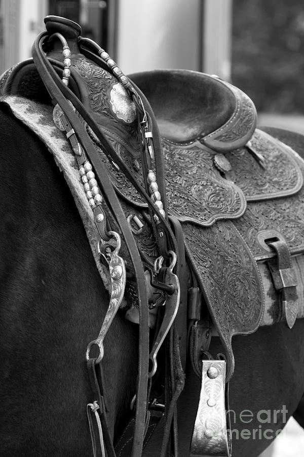 Bridle and Saddle Detail in Black and White Photograph by Angela Rath