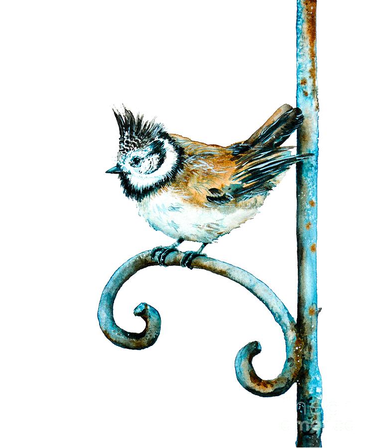 Chickadee Painting - Bridled Titmouse by Zaira Dzhaubaeva