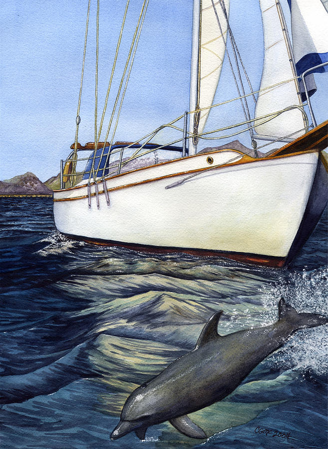 Dolphin Painting - Brief Encounter by Catherine G McElroy