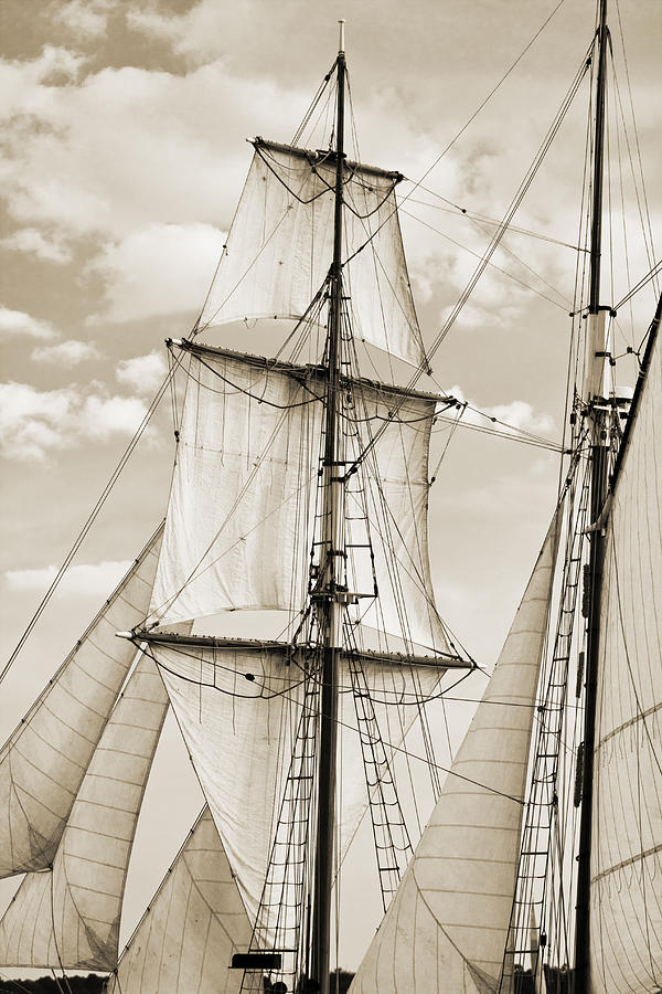 Brigantine Tallship Fritha Sails and Rigging Photograph by Dustin K Ryan