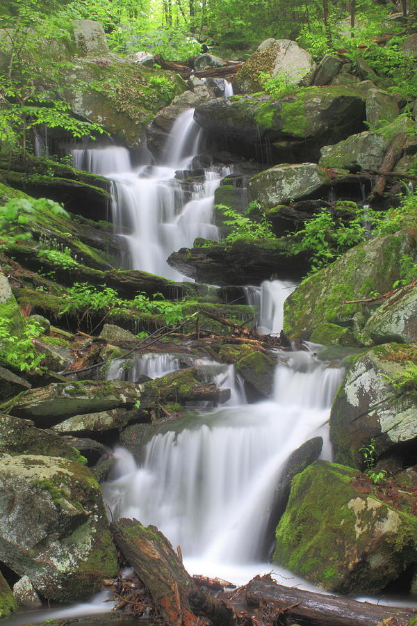 Briggs Brook Waterfall New England National Scenic Trail Photograph by John Burk