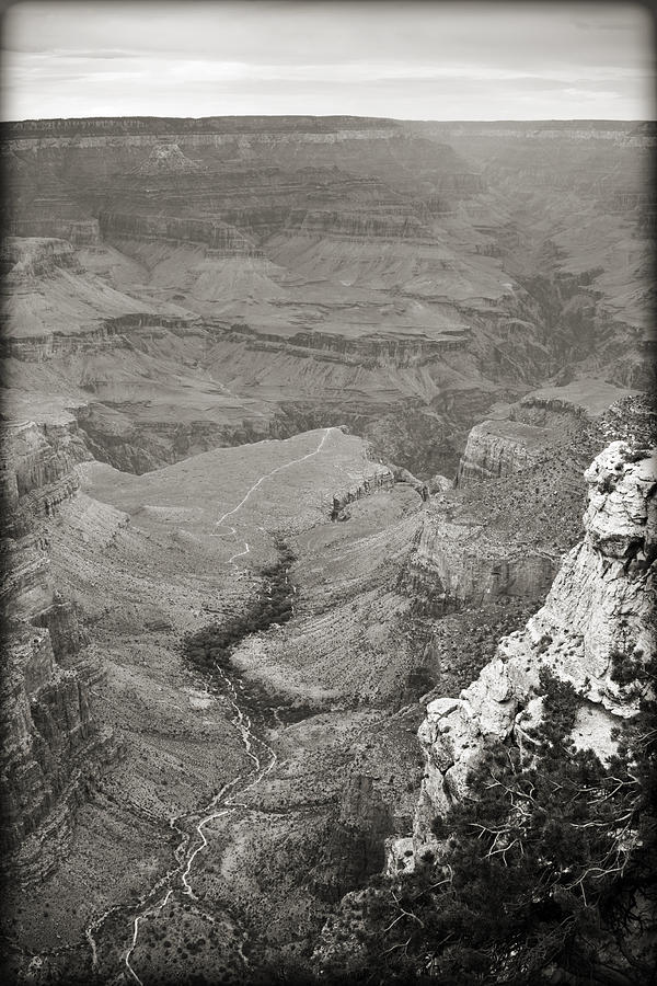 Bright Angel Trail Black and White Photograph by Ricky Barnard