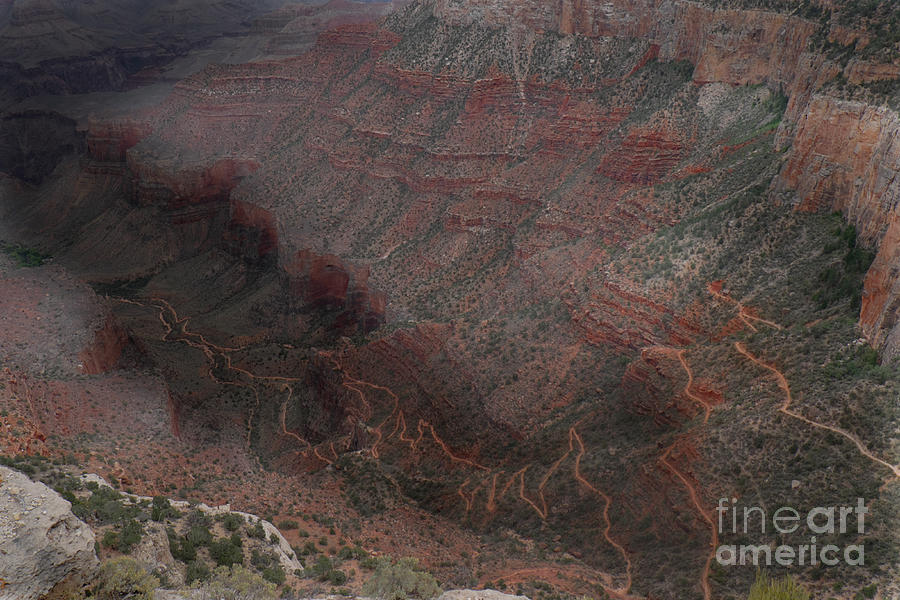 Grand Canyon National Park Digital Art - Bright Angel Trails Off by William Fields