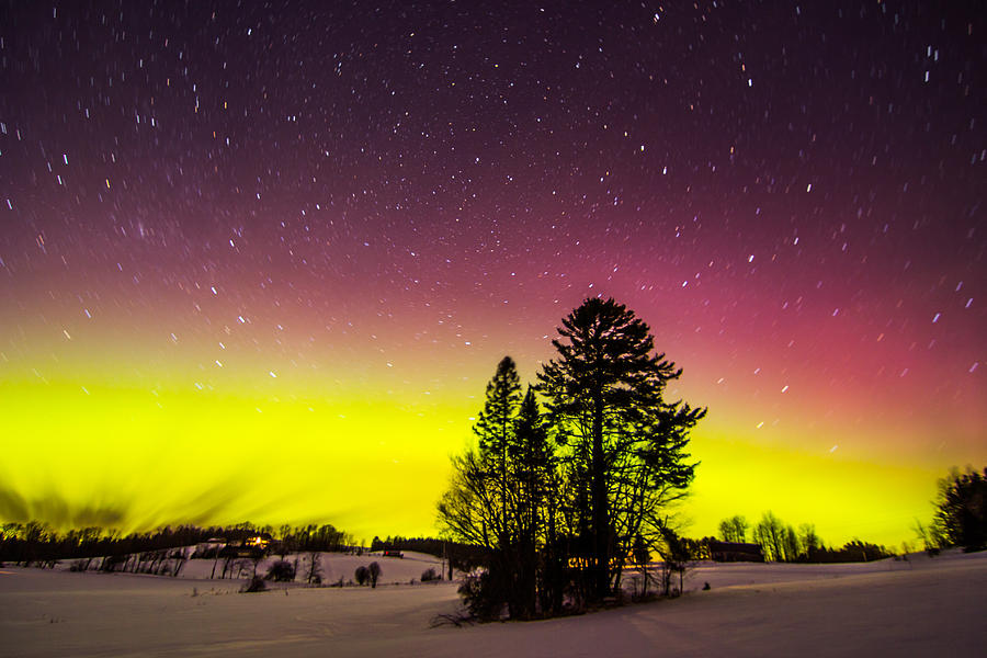 Bright Aurora Photograph by Tim Kirchoff