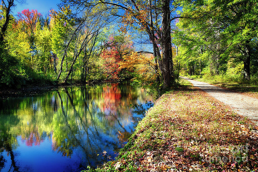 Fall Photograph - Bright Autumn Day at the Canal by George Oze