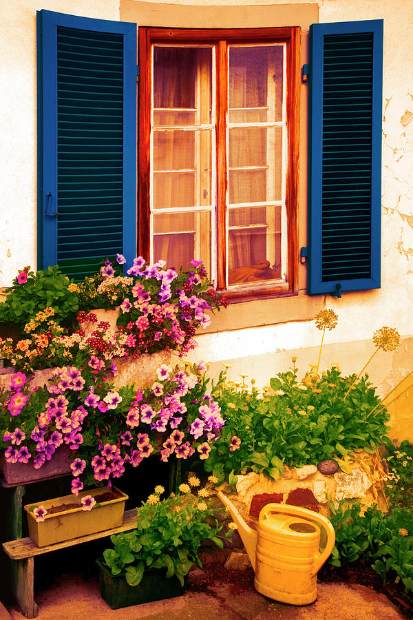Bright Blue Shutters in the Garden Photograph by Debra and Dave Vanderlaan
