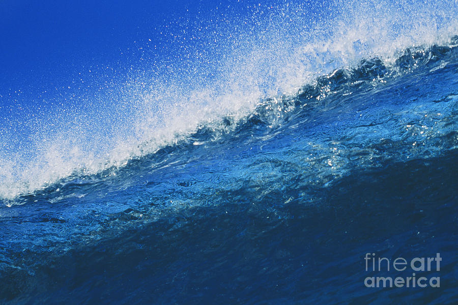 Bright Blue Wave Photograph by Ali ONeal - Printscapes