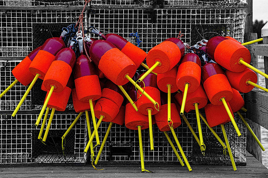 Bright Buoys Photograph by Marty Saccone