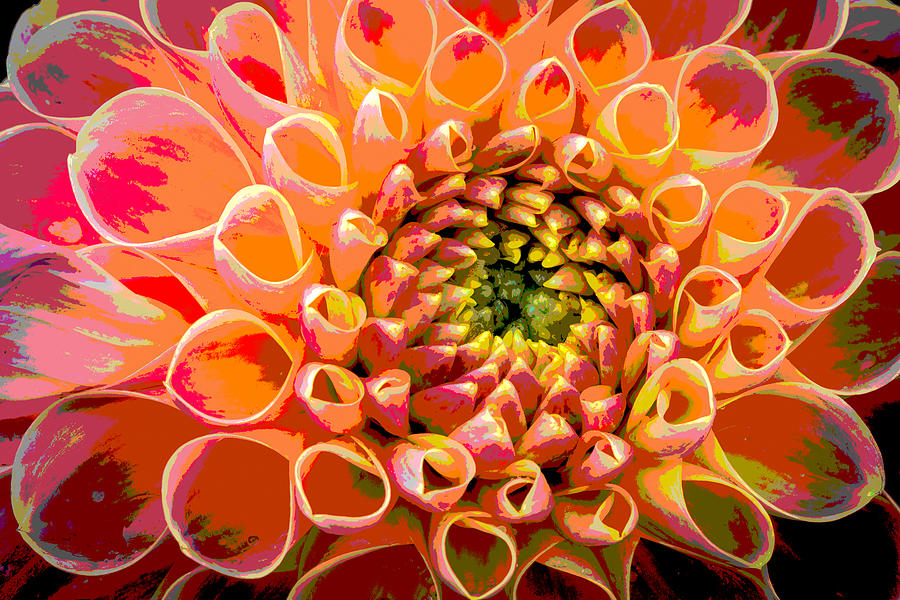 Bright Dahlia Colors Photograph by Rick Strobaugh