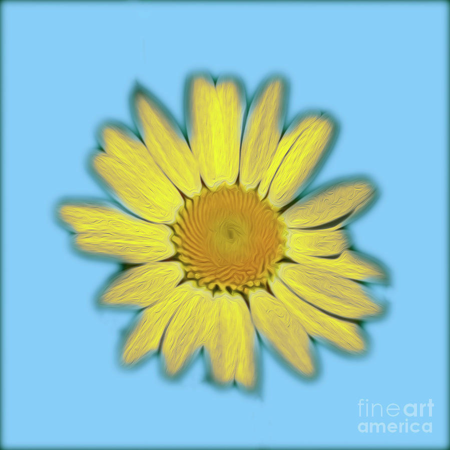 Bright Daisy Photograph by Candydash Images Bright Daisy Photograph by Candydash Images