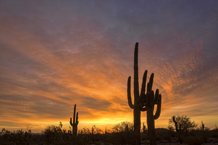 Bright Dawn Light Photograph by Ryan Seek - Fine Art America