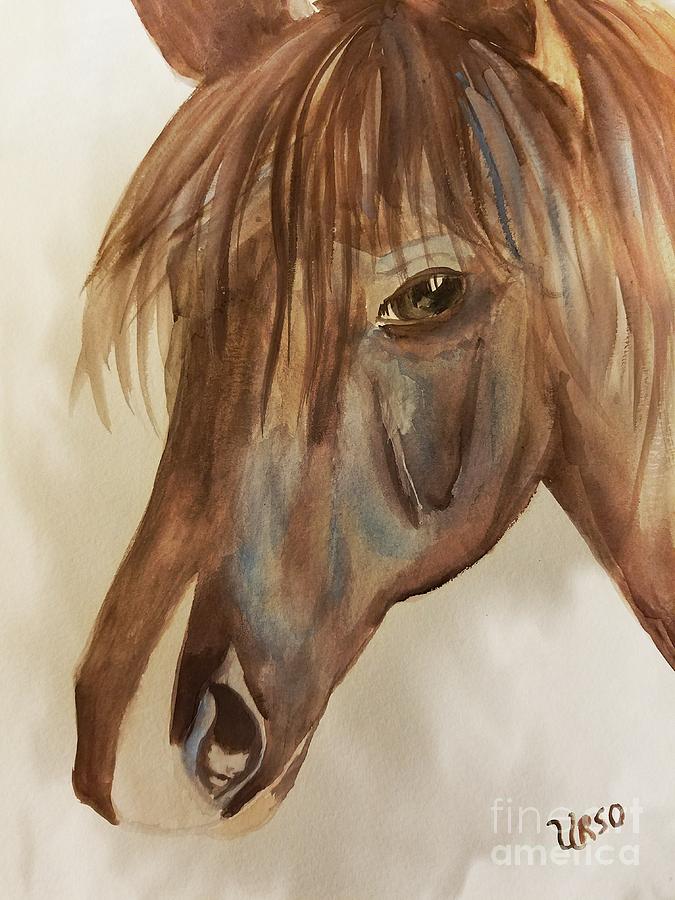Bright-eyed Filly Painting by Maria Urso