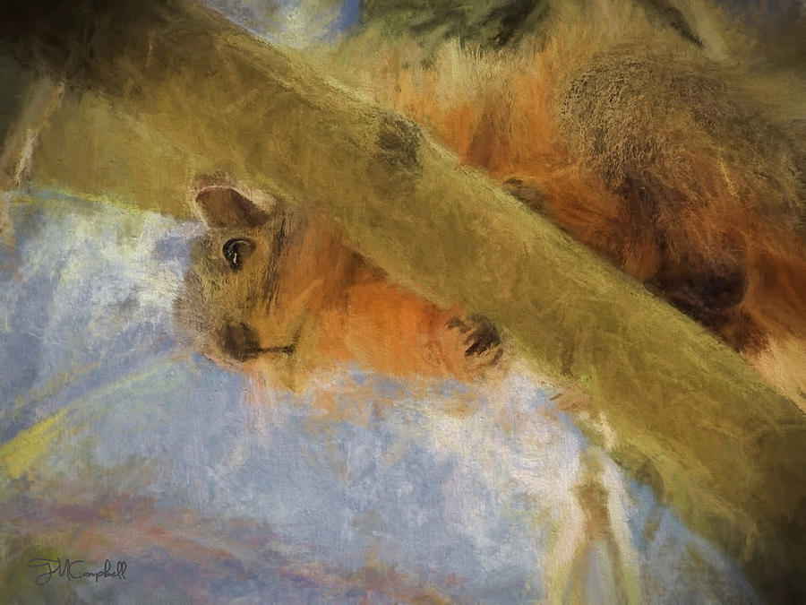 Bright Eyed Squirrel Painting by Theresa Campbell