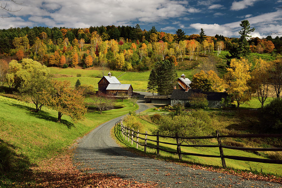 Bright Fall leaves around Sleepy Hollow Farm on Cloudland Road W ...