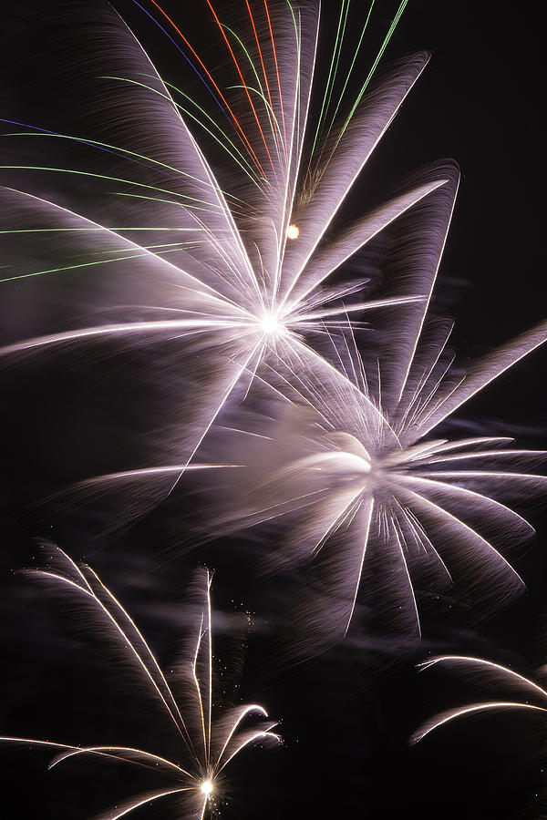 Independence Day Photograph - Bright Fireworks by Garry Gay