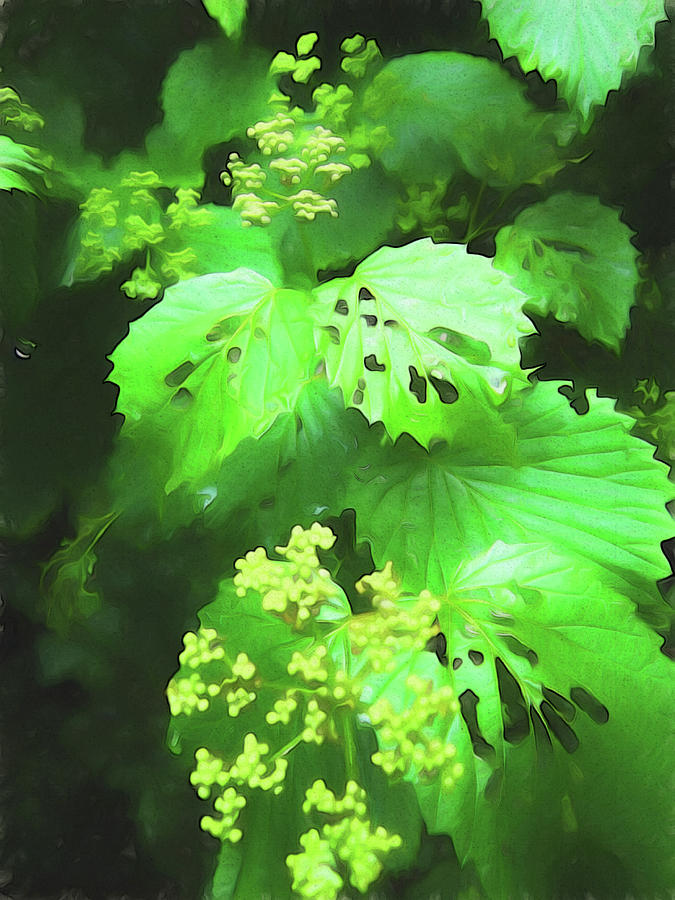 Bright Green Foliage Painterly Photograph by Mary Bedy