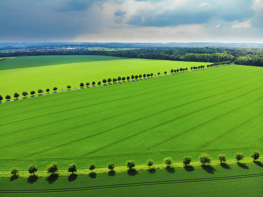 Bright green landscape with fields and trees Photograph by Matthias Hauser