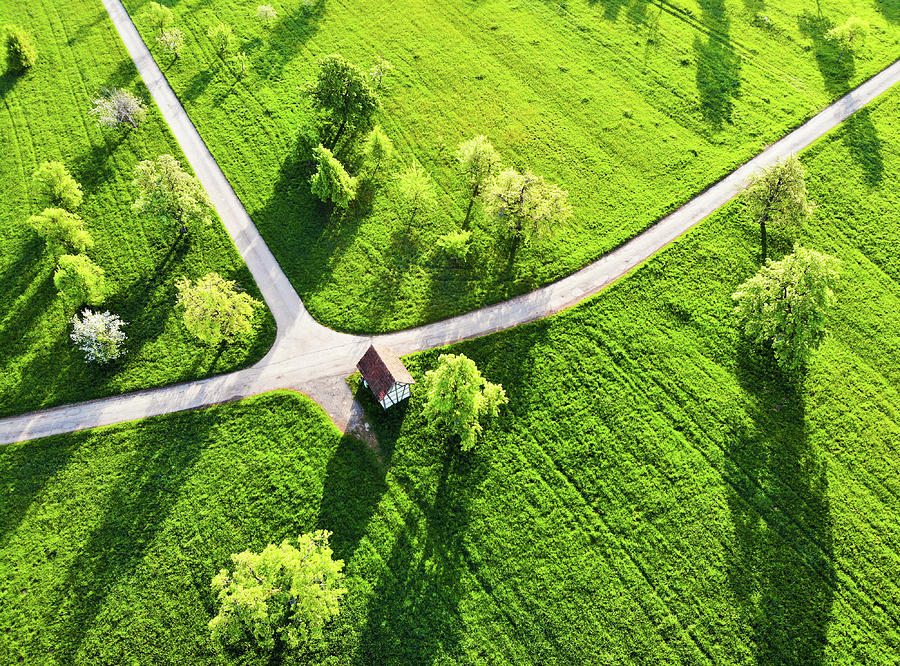 Bright green spring meadow aerial photo Photograph by Matthias Hauser