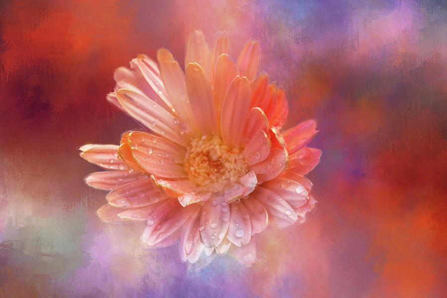 Bright, Intense Daisy Digital Art by Terry Davis
