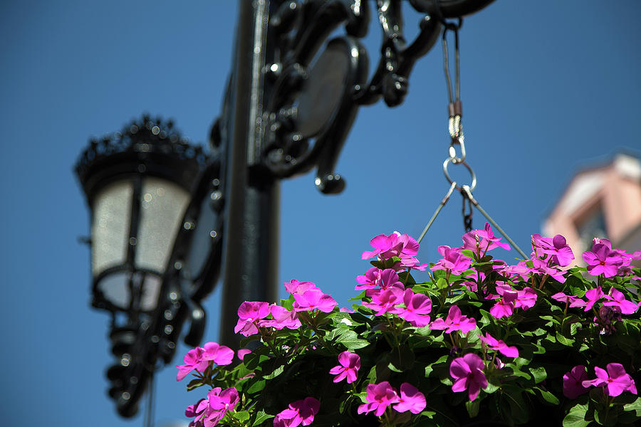 Bright momories from Plovdiv 1 Photograph by Milena Ilieva