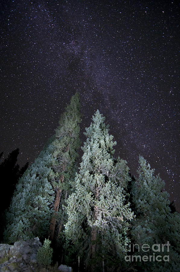 Bright Night Photograph by Jeffrey Kolker