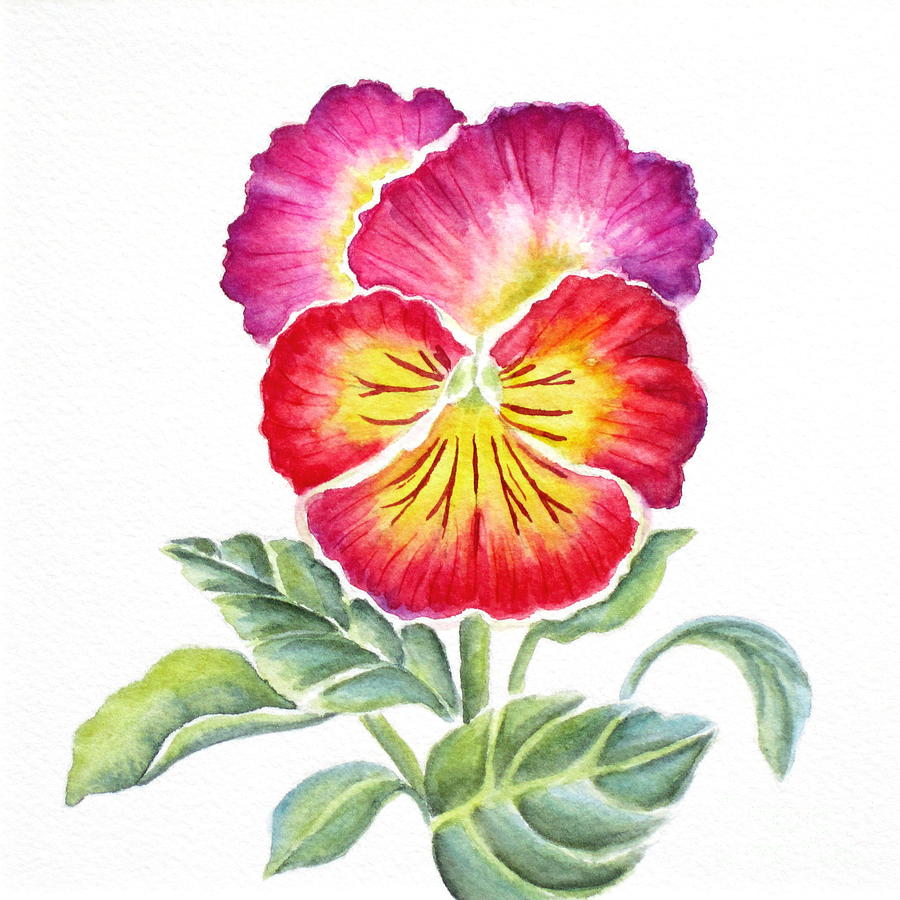 Bright Pansy Painting by Deborah Ronglien