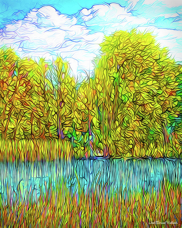 Tree Digital Art - Bright Pond Moment - Lake In Boulder County Colorado by Joel Bruce Wallach