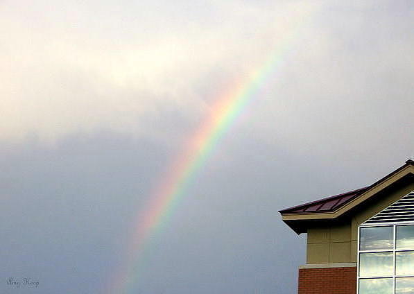 Bright Rainbow Photograph by Amy Hosp