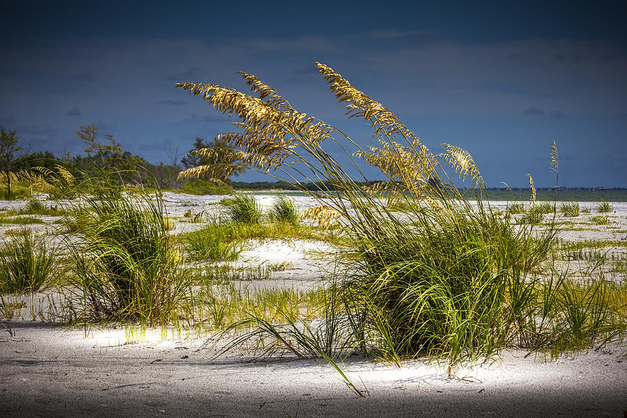 Bright Shore Photograph by Marvin Spates