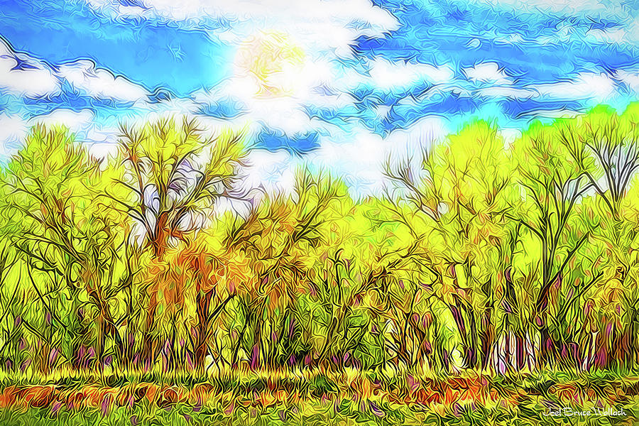 Bright Sky Forest - Boulder County Colorado Digital Art by Joel Bruce Wallach