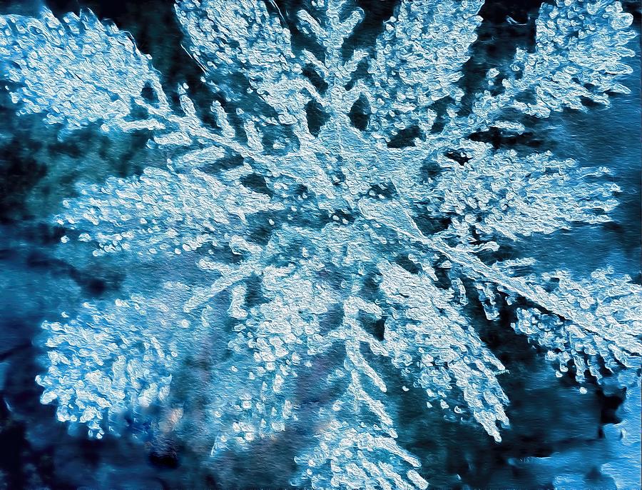 Bright Snowflake Photograph by Kathy Bassett