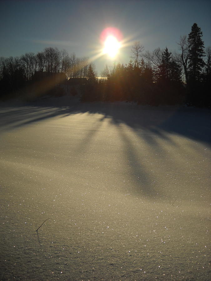 Bright Sun on Fresh Snow Photograph by Kent Lorentzen