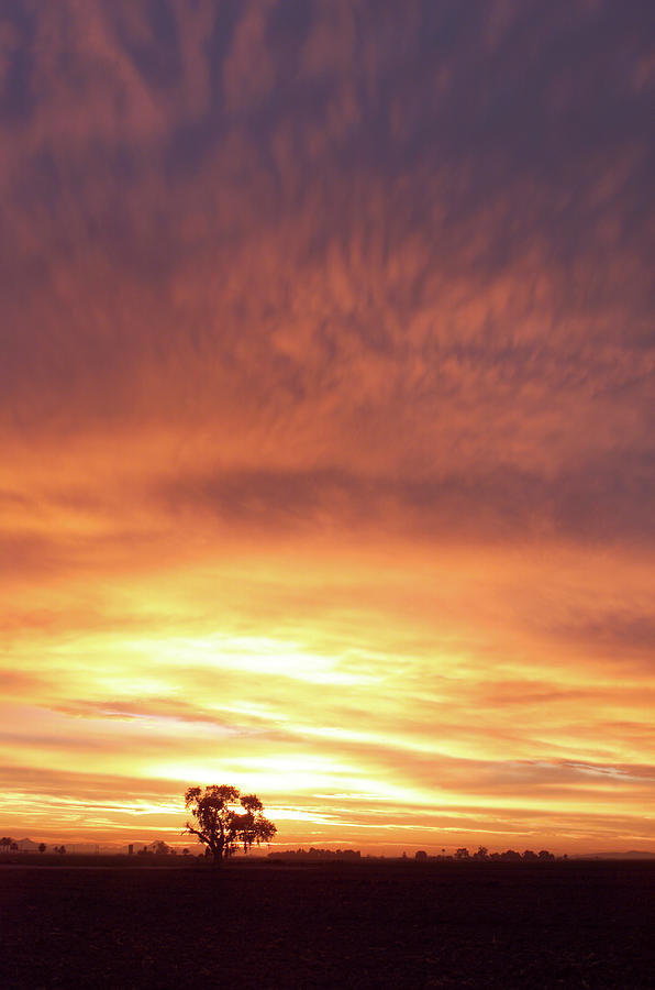 Sunset Photograph - Bright Sunset by Scott Sawyer