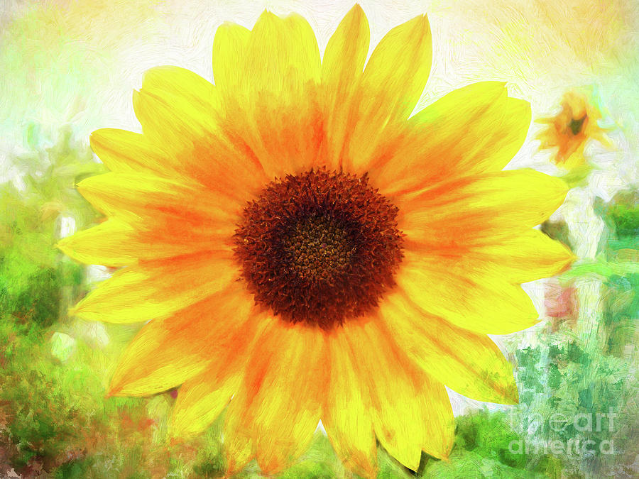 Bright Yellow Sunflower - Painted Summer Sunshine Photograph by Anita Pollak