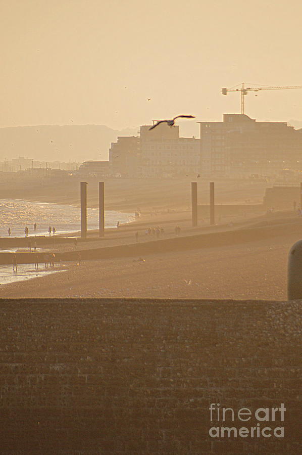 Brighton Photograph by Andy Thompson