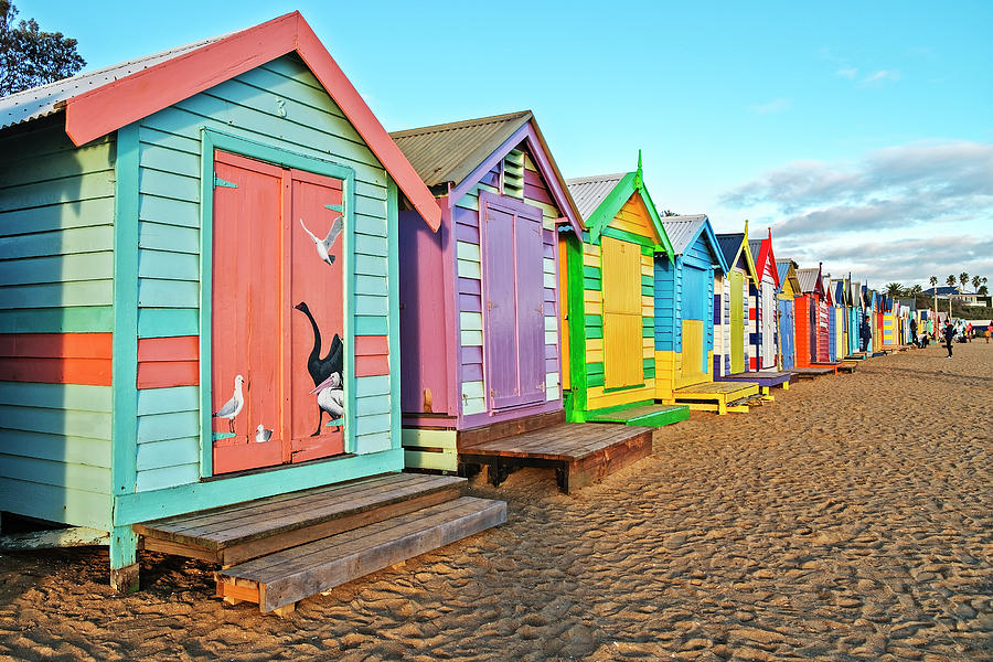 Brighton Beach Huts Photograph by Catherine Reading