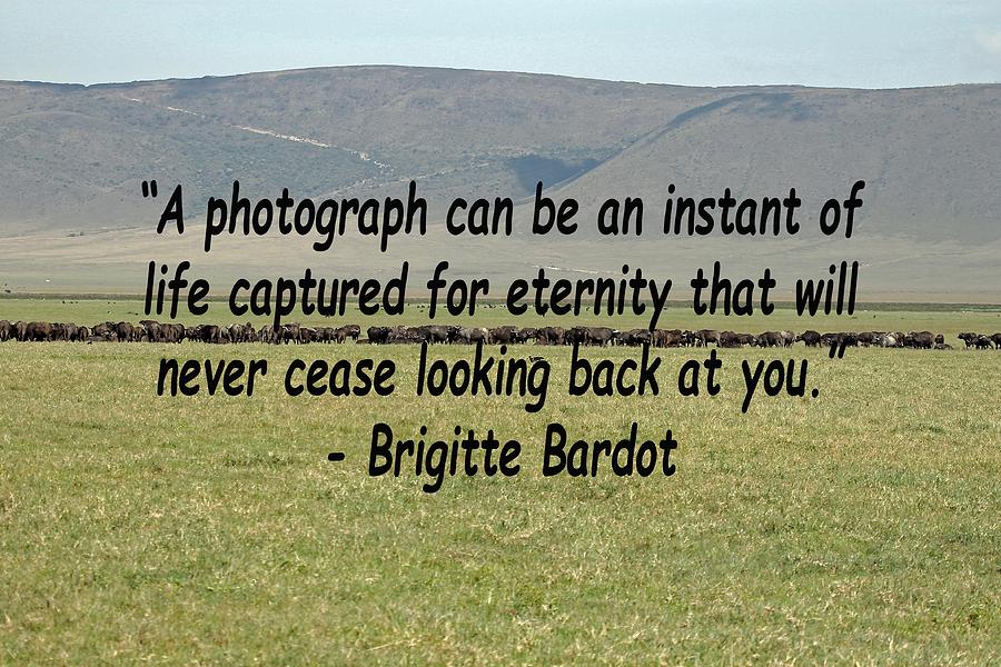 Brigitte Bardot Quote Photograph by Tony Murtagh