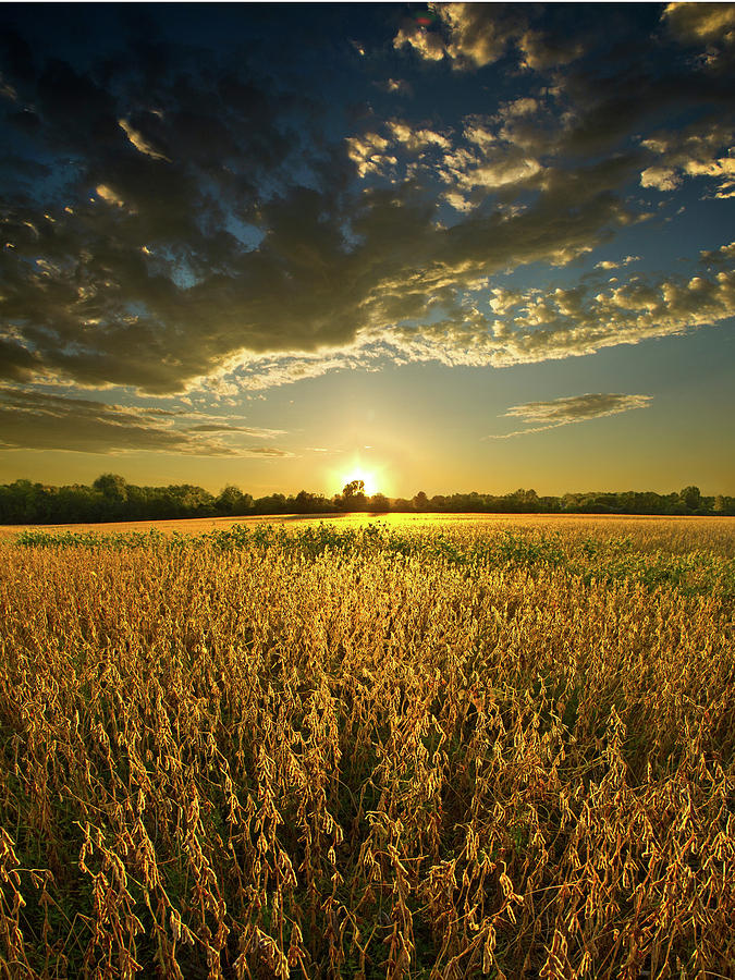 Brilliance Photograph by Phil Koch - Fine Art America