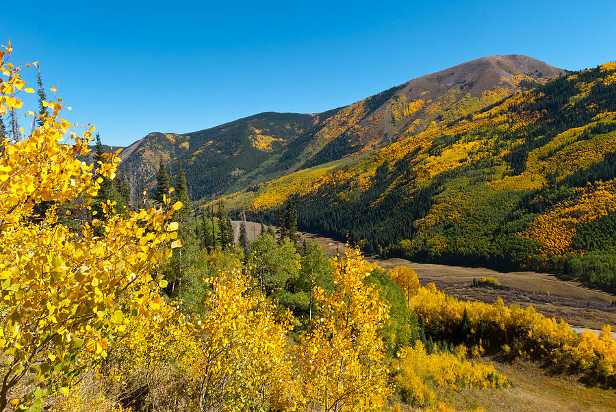 Brilliant Colorado Autumn Photograph by Cascade Colors