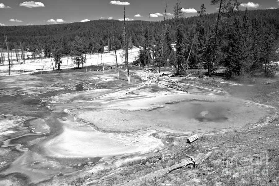 Yellowstone National Park Photograph - Brilliant Colors At Firehole Spring Black And White by Adam Jewell