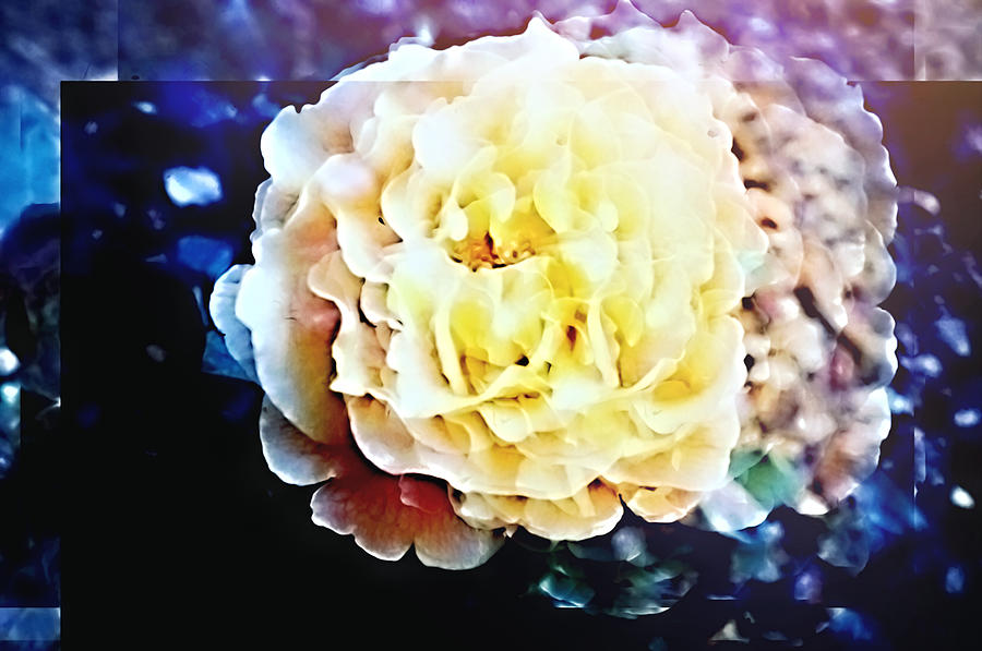 Brilliant Flowers  Digital Art by Cathy Anderson