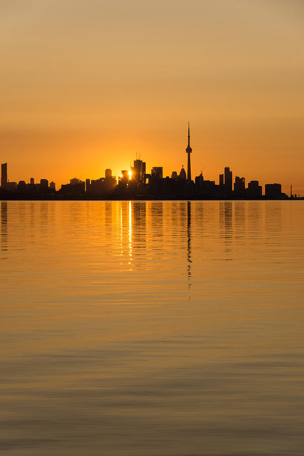 Sunset Photograph - Brilliant Golden Yellow Toronto Skyline by Georgia Mizuleva